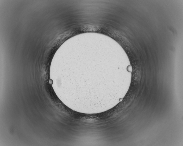 X0000112860743200910021311
