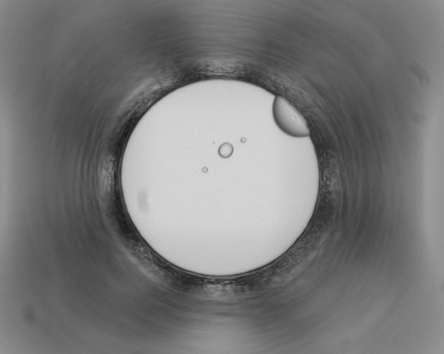X0000112860744200910021311