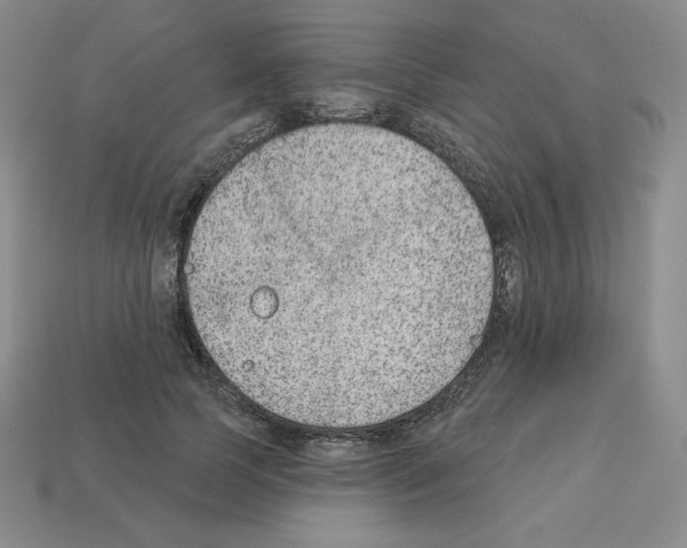 X0000112860745200910021311