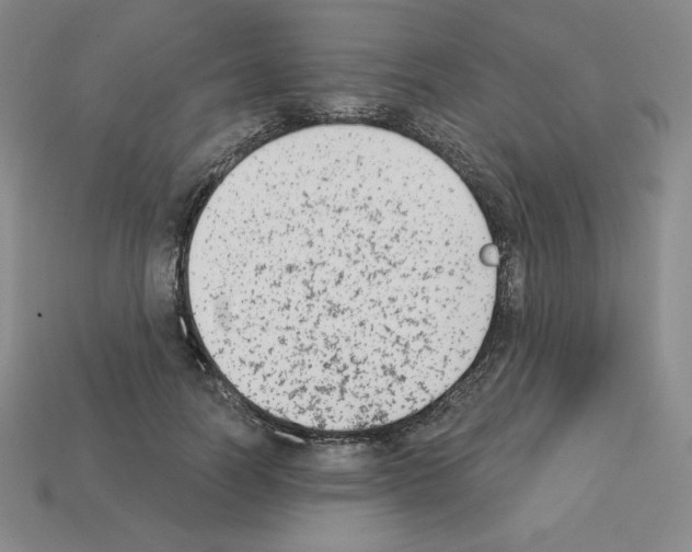 X0000112860746200910021311