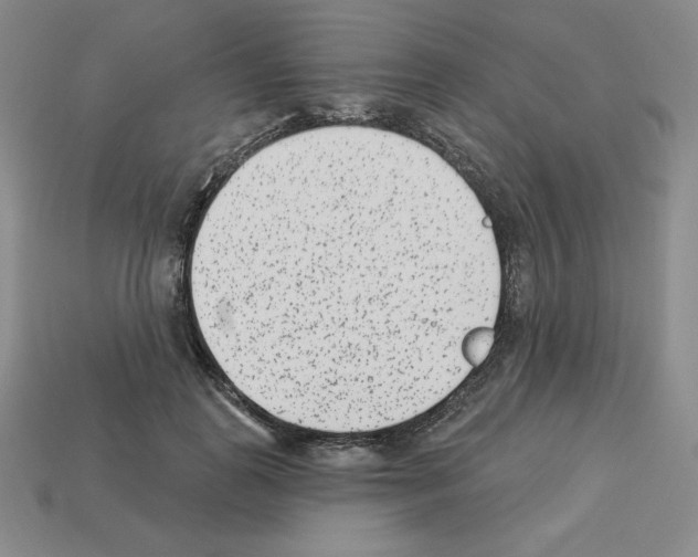 X0000112860747200910021311