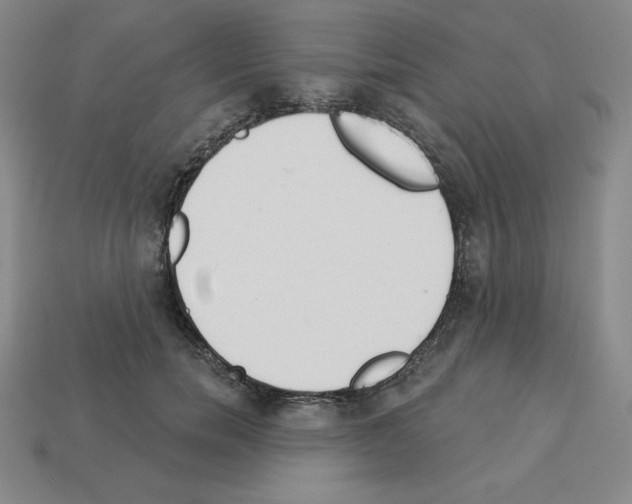 X0000112860750200910021311