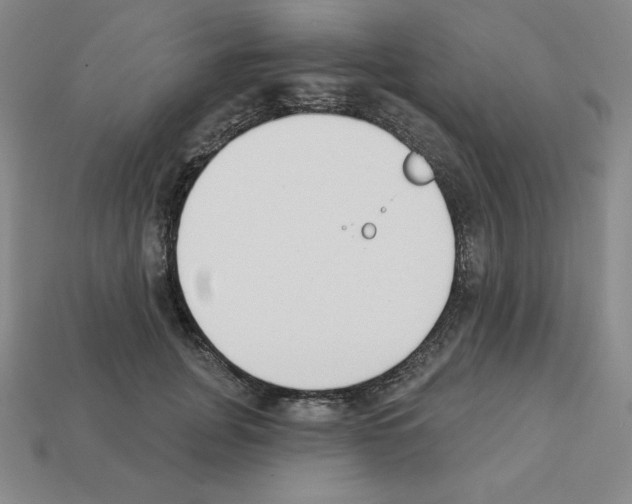 X0000112860751200910021311