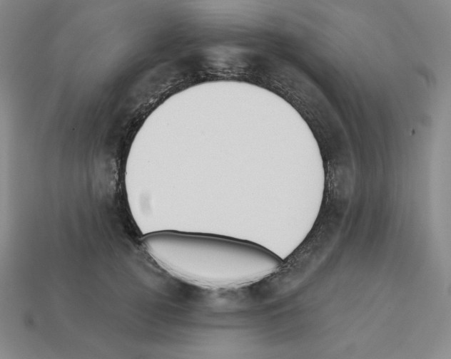 X0000112860752200910021311