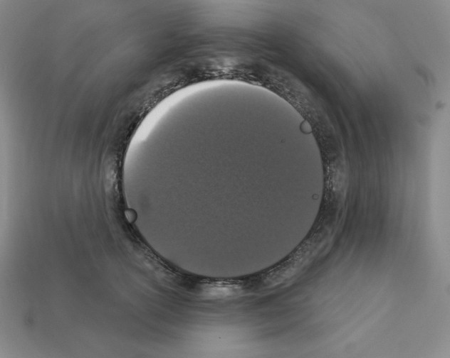 X0000112860754200910021311