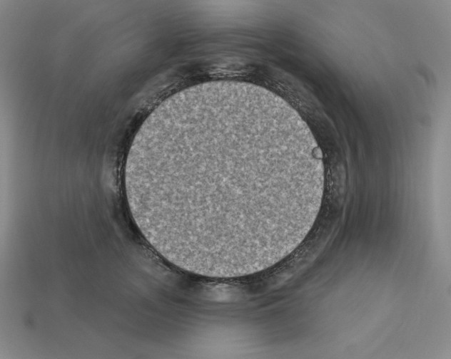 X0000112860755200910021311