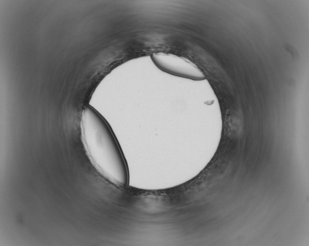 X0000112860756200910021311