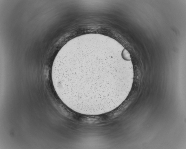 X0000112860758200910021311