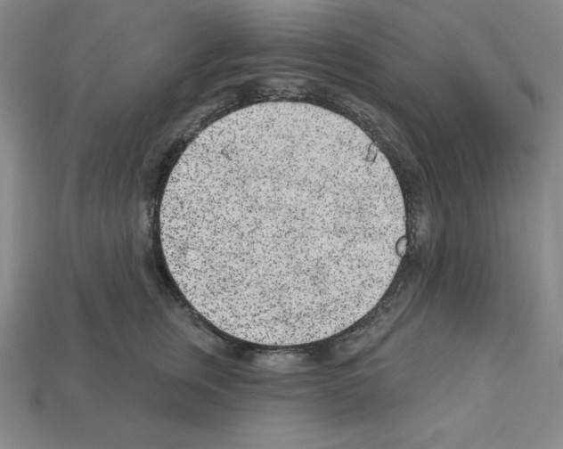 X0000112860759200910021311