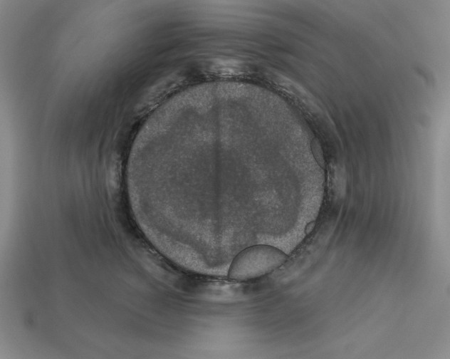 X0000112860760200910021311
