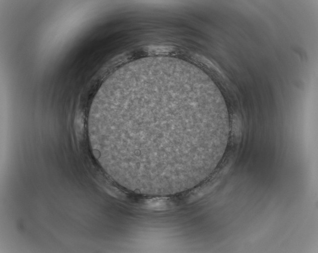 X0000112860761200910021311