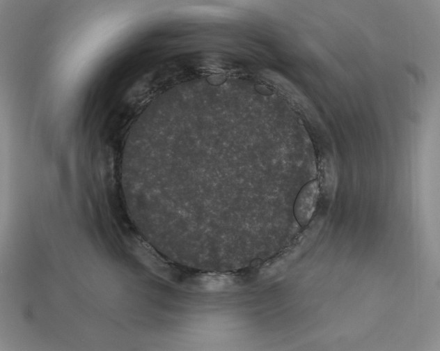 X0000112860762200910021311