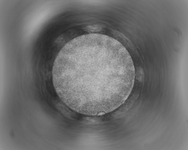 X0000112860763200910021311
