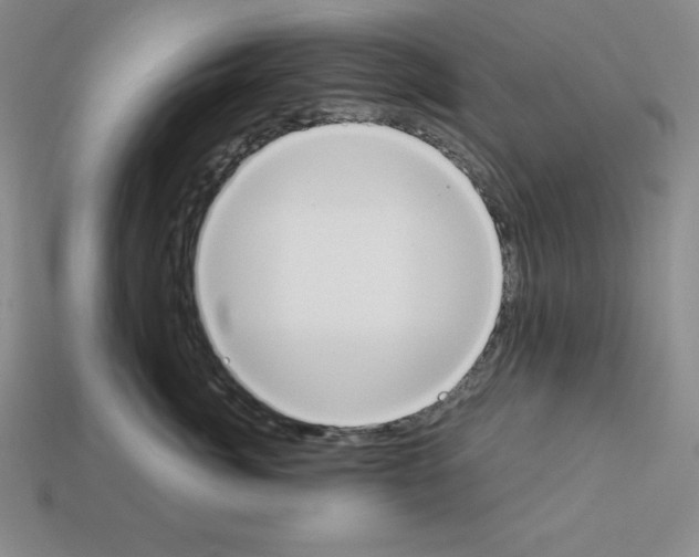 X0000112860764200910021311