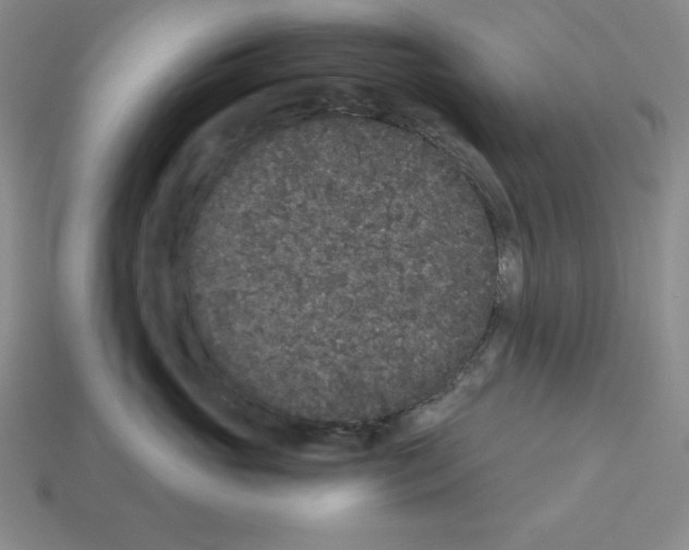 X0000112860765200910021311