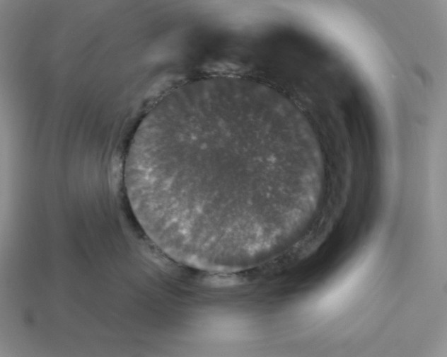 X0000112860767200910021311