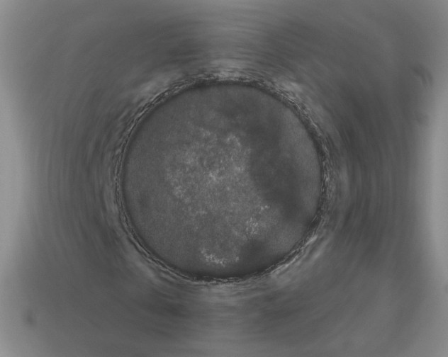 X0000112860769200910021311