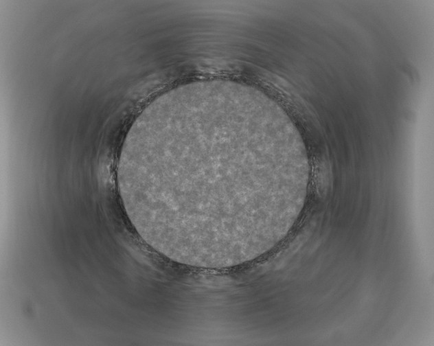 X0000112860770200910021311