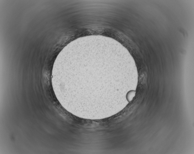 X0000112860772200910021311