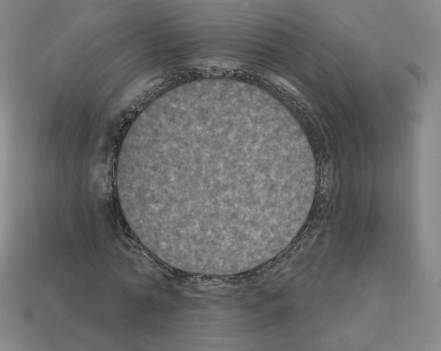 X0000112860774200910021311