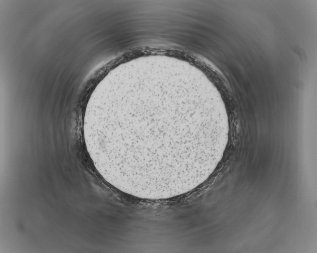 X0000112860775200910021311