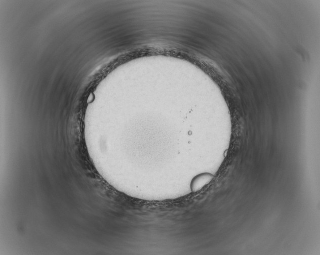 X0000112860776200910021311