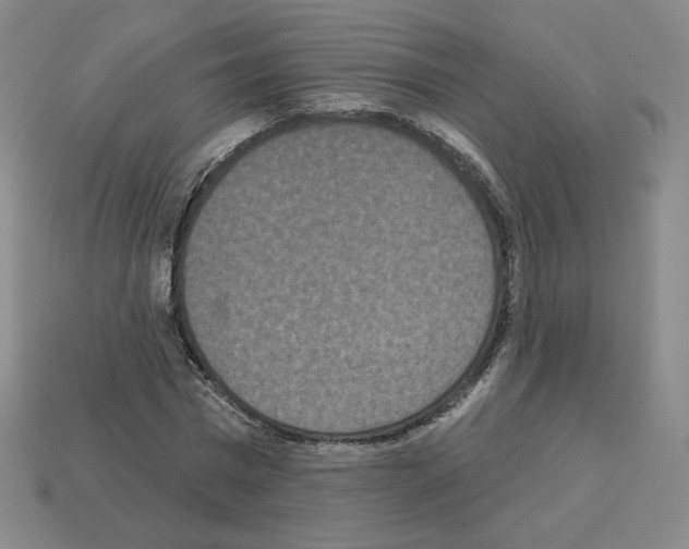 X0000112860777200910021311