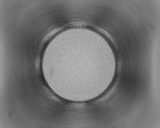 X0000112860778200910021311