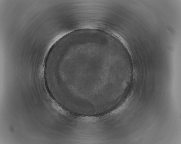 X0000112860779200910021311