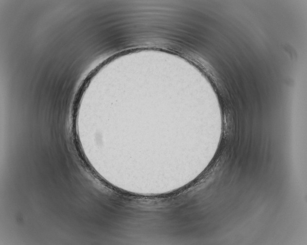 X0000112860780200910021311