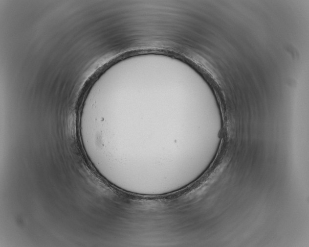 X0000112860781200910021311