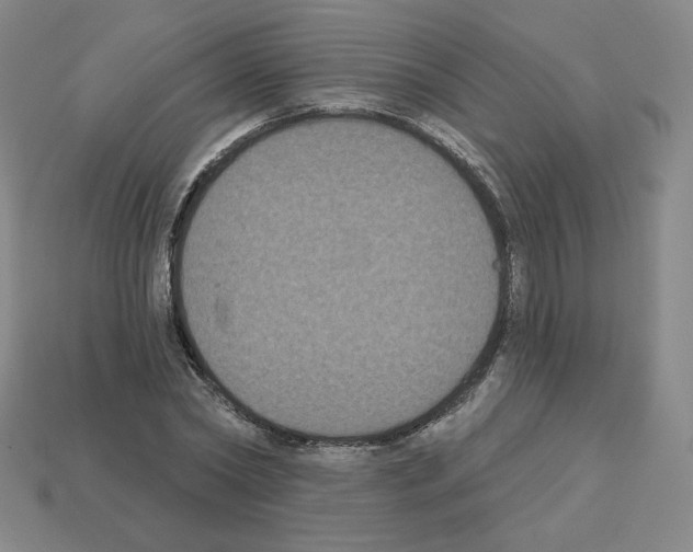 X0000112860782200910021311