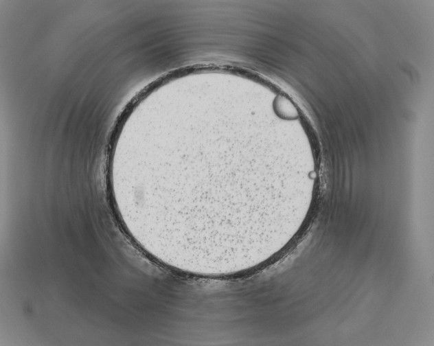 X0000112860783200910021311