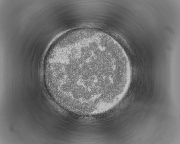 X0000112860784200910021311