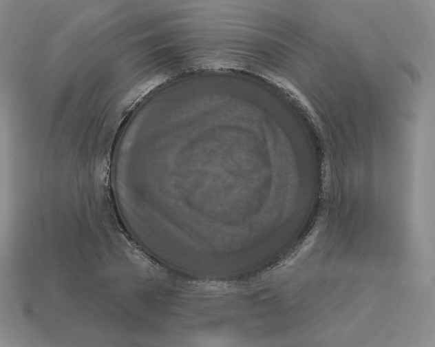 X0000112860785200910021311