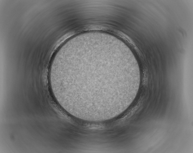 X0000112860786200910021311