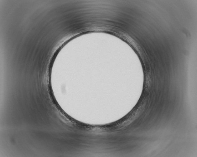 X0000112860787200910021311