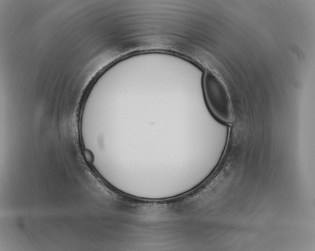 X0000112860789200910021310