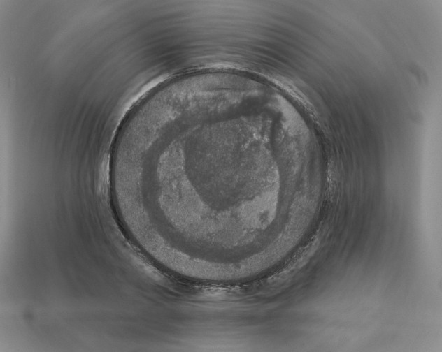 X0000112860790200910021310