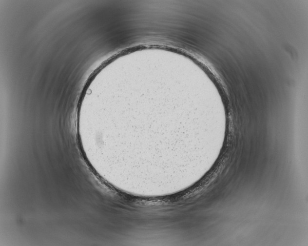 X0000112860791200910021310