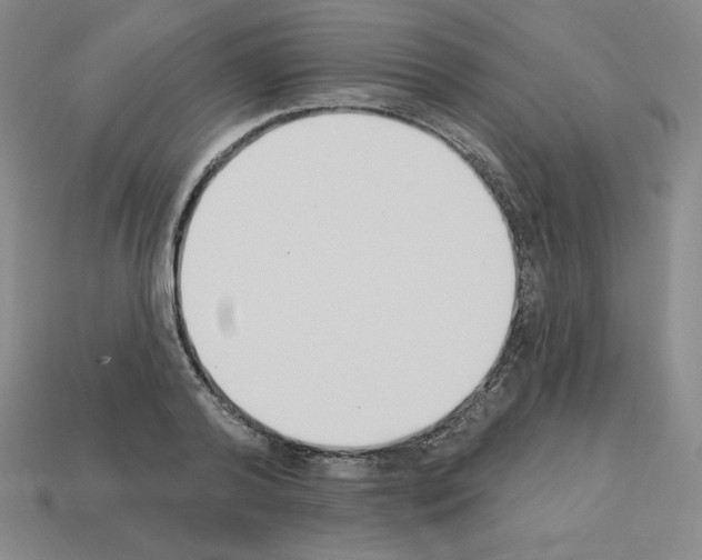 X0000112860792200910021310