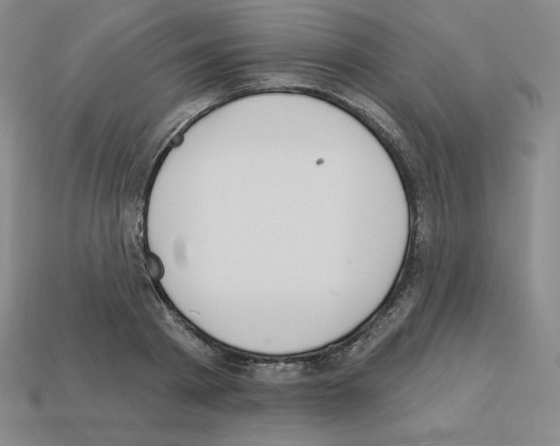 X0000112860793200910021310