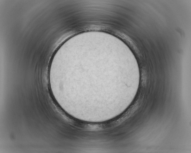 X0000112860794200910021310