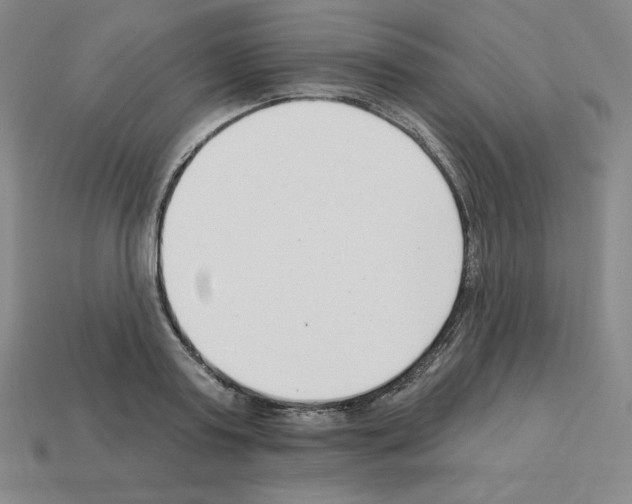 X0000112860795200910021310