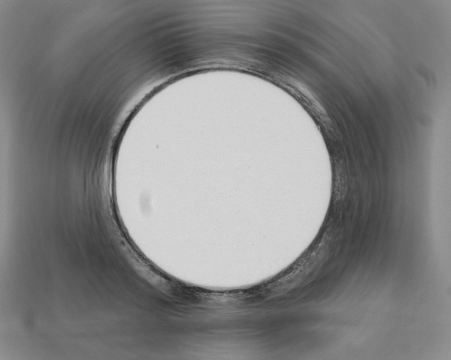 X0000112860796200910021310