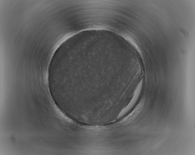 X0000112860797200910021310