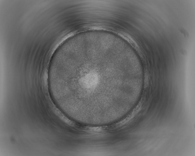 X0000112860798200910021310