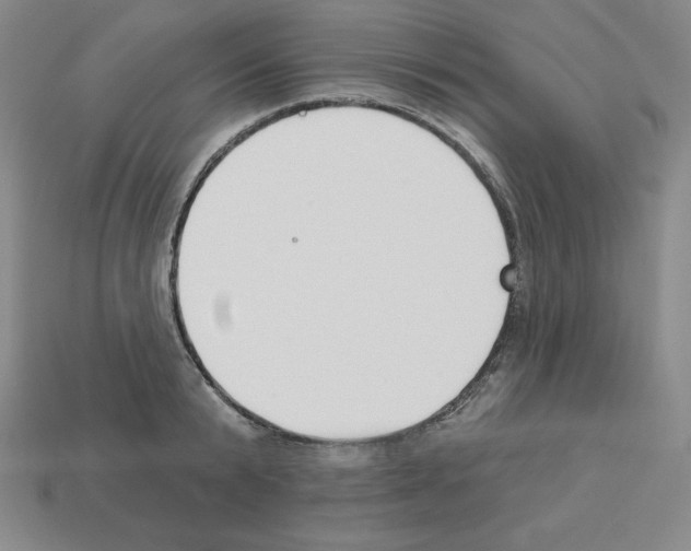 X0000112860799200910021310