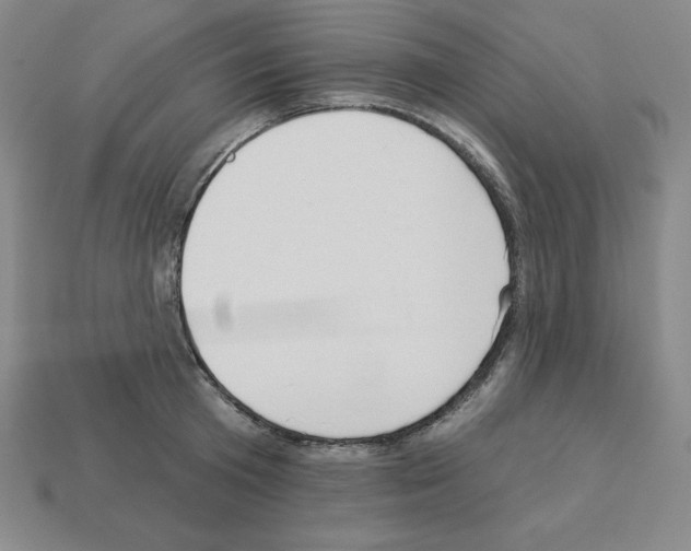 X0000112860801200910021310
