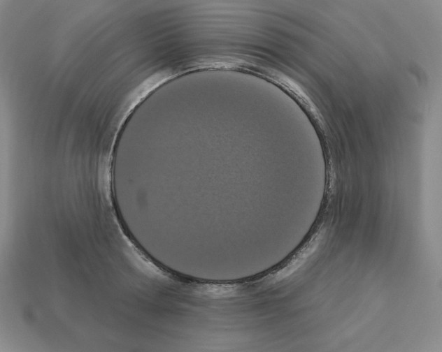 X0000112860802200910021310